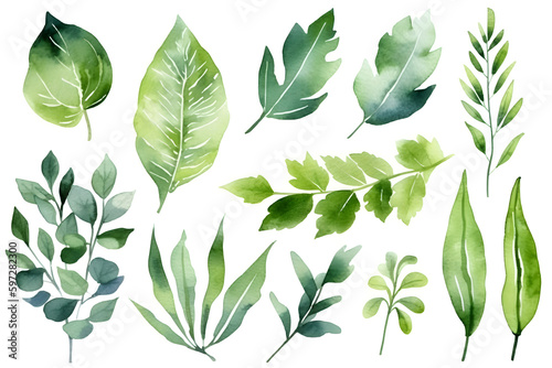 Set of Watercolor Green Leaves Elements Collection: AI Generated Image