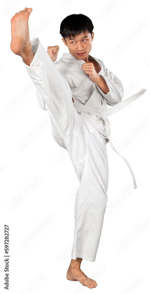 Portrait of an Asian Martial Artist Practicing Portrait of an Asian Martial Artist Practicing