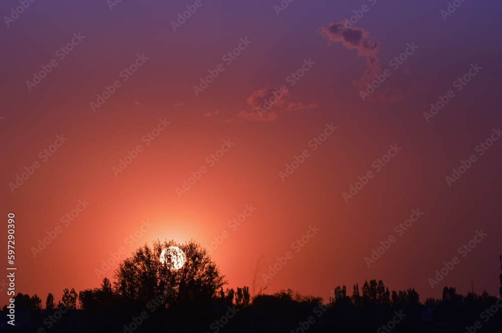 Evening setting sun shines through a tree on the horizon. Orange purple sky.