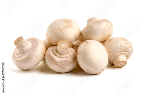 Champignons, close-up, isolated on white background.