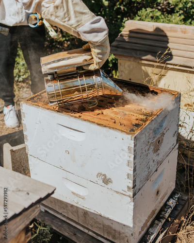 Beekeeping 9