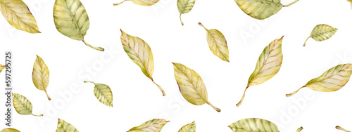 Pattern of watercolor fall yellow and green leaves on the white background. Botanical seamless texture.