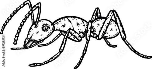 Ant Animal Coloring Page for Adults