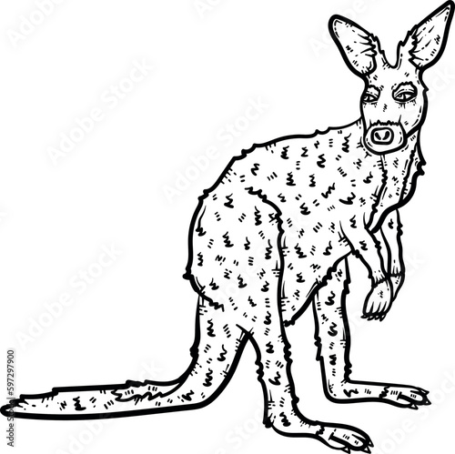 Wallpaper Mural Kangaroo Animal Coloring Page for Adults Torontodigital.ca