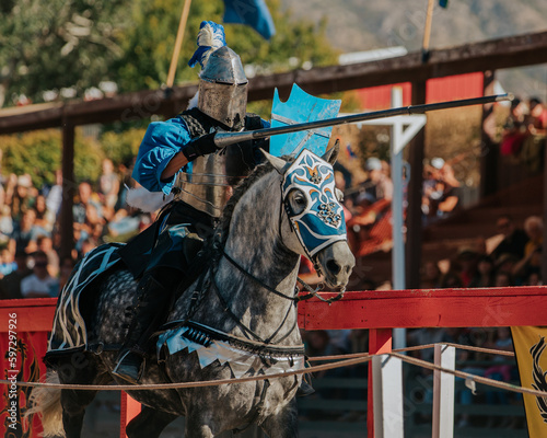 Slika na platnu Jousting 5