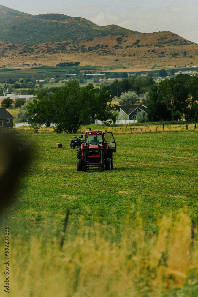 Obraz premium Tractor in field