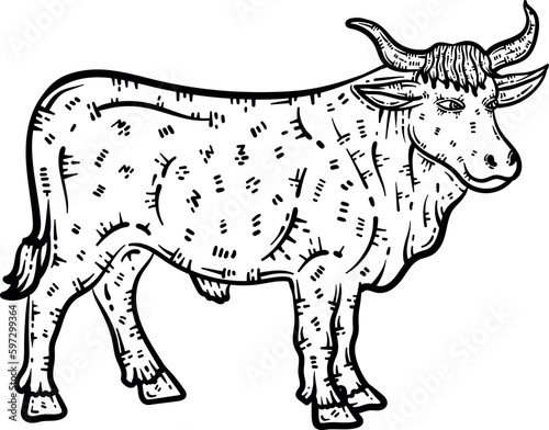 Ox Animal Coloring Page for Adults