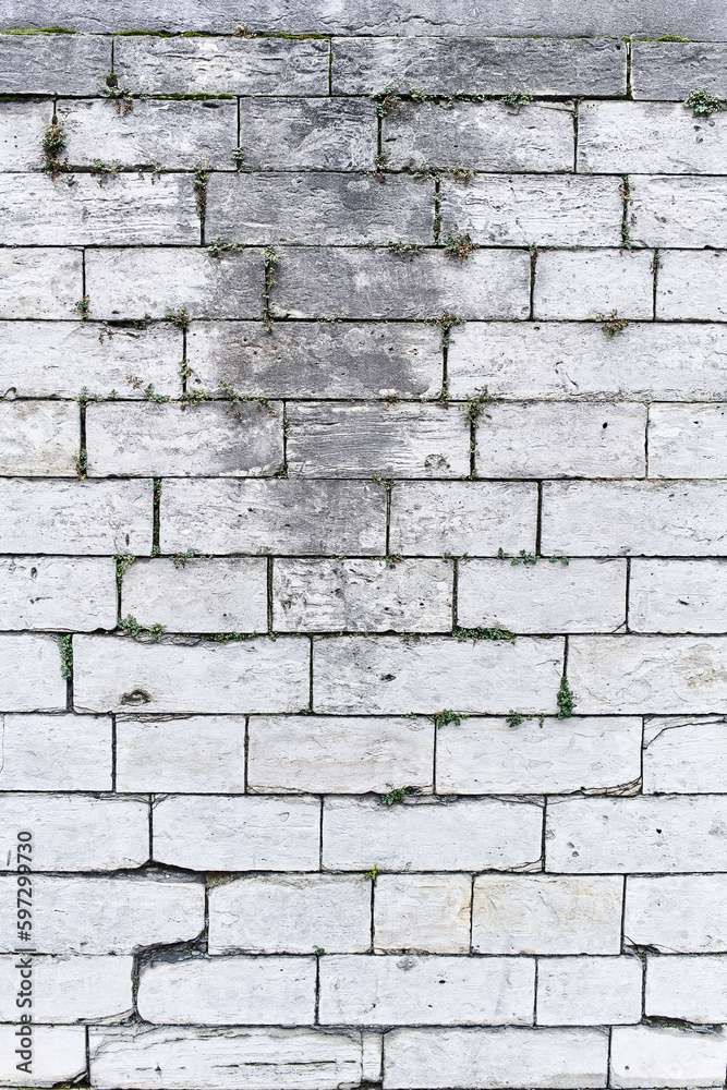 Obraz premium Stone brick wall surface background