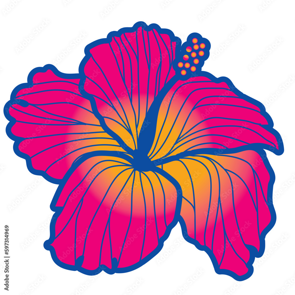 hibiscus illustration ,pink with main line,  image of southern country and hawaii and tropical image | apparel, textile