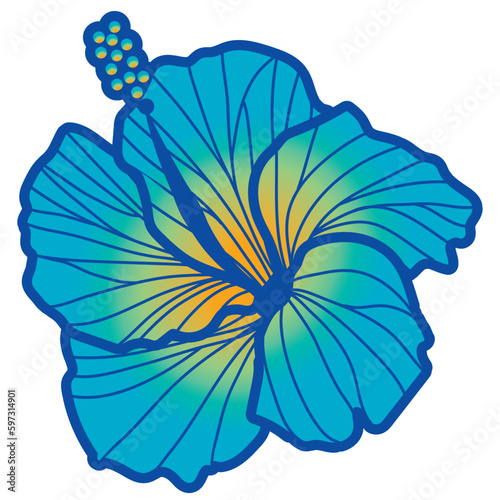 hibiscus illustration  refreshing light blue   image of southern country and hawaii and tropical image   apparel  textile