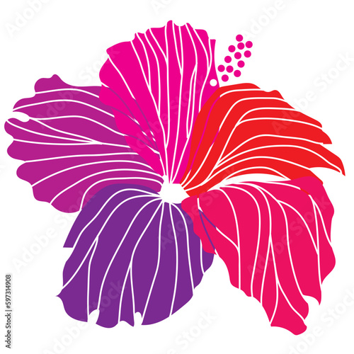 hibiscus illustration ,pink,  image of southern country and hawaii and tropical image | apparel, textile
