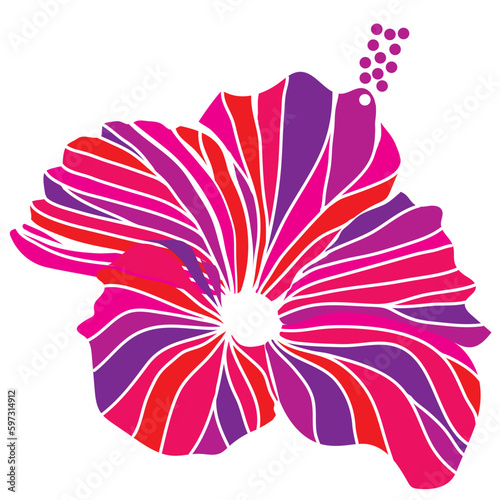 hibiscus illustration ,pink,  image of southern country and hawaii and tropical image | apparel, textile