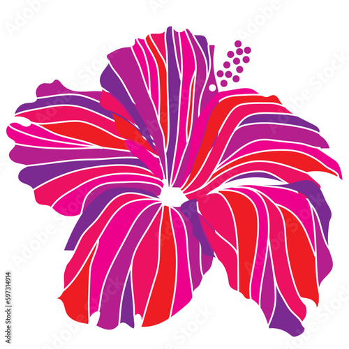 hibiscus illustration ,pink,  image of southern country and hawaii and tropical image | apparel, textile