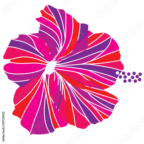 hibiscus illustration ,pink,  image of southern country and hawaii and tropical image | apparel, textile