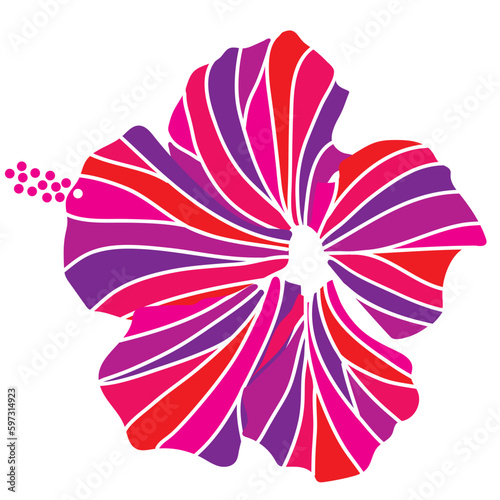 hibiscus illustration ,pink,  image of southern country and hawaii and tropical image | apparel, textile