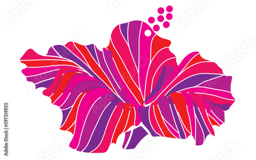 hibiscus illustration ,pink,  image of southern country and hawaii and tropical image | apparel, textile