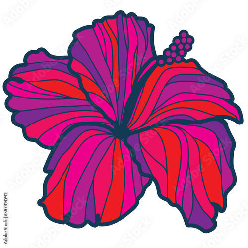 hibiscus illustration ,pink with main line,  image of southern country and hawaii and tropical image | apparel, textile