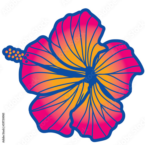 hibiscus illustration ,pink with main line,  image of southern country and hawaii and tropical image | apparel, textile