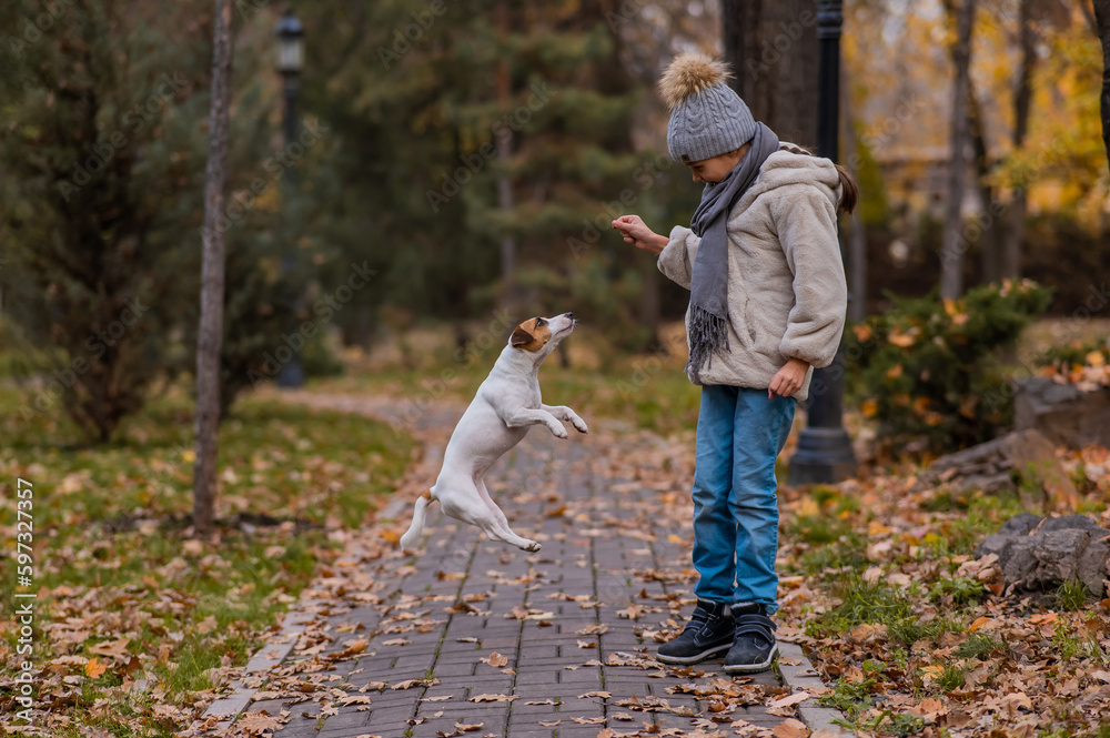 Fototapeta premium Caucasian girl playing with a dog for a walk in the autumn park. 