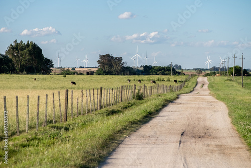 lonely straight road through the countryside, with a wind power mill farm on the horizon photo