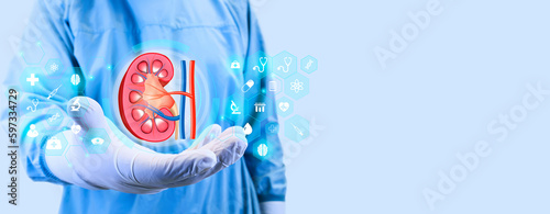 Nephrology, medical care for kidney problems. Kidneys, kidney pain, kidney cysts, kidney failure, cancer. Organ Donor, Surgeon isolated on light blue background. photo