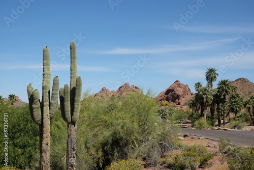 Papago Park, Phoenix, Arizona, USA