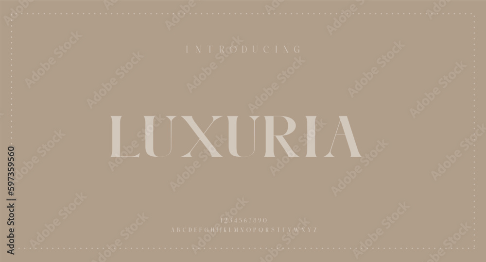 Vector elegant alphabet letters font and number classic modern serif lettering minimal fashion typography decoration fonts for branding wedding invitations logo vector illustration Vector elegant alphabet letters font and number classic modern serif lettering minimal fashion typography decoration fonts for branding wedding invitations logo vector illustration