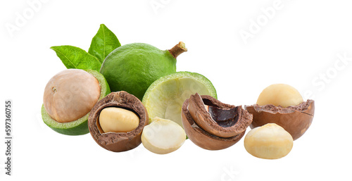 Photos macadamia nuts isolated on transparent png