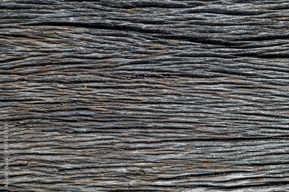 texture texture