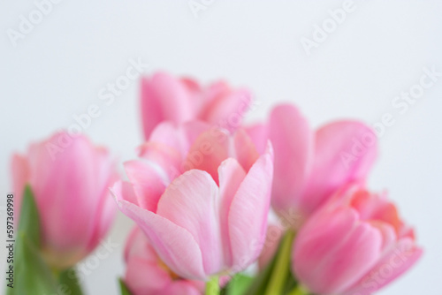 Pink tulips bouquet on white background copy space banner