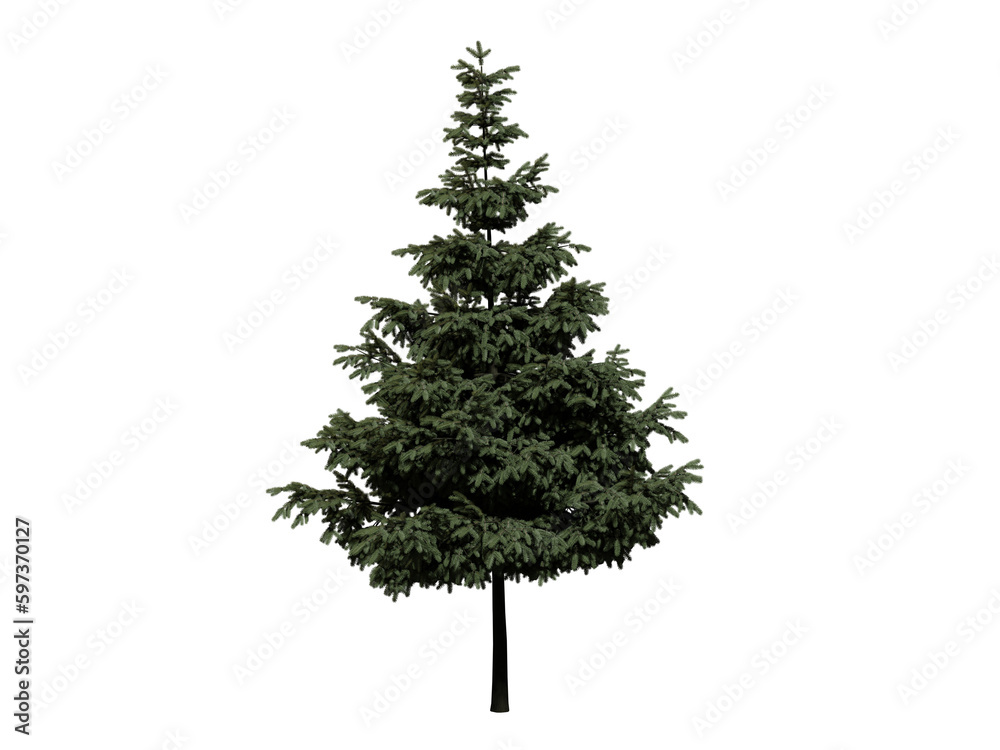 big tree png with transparent background Stock Illustration | Adobe Stock