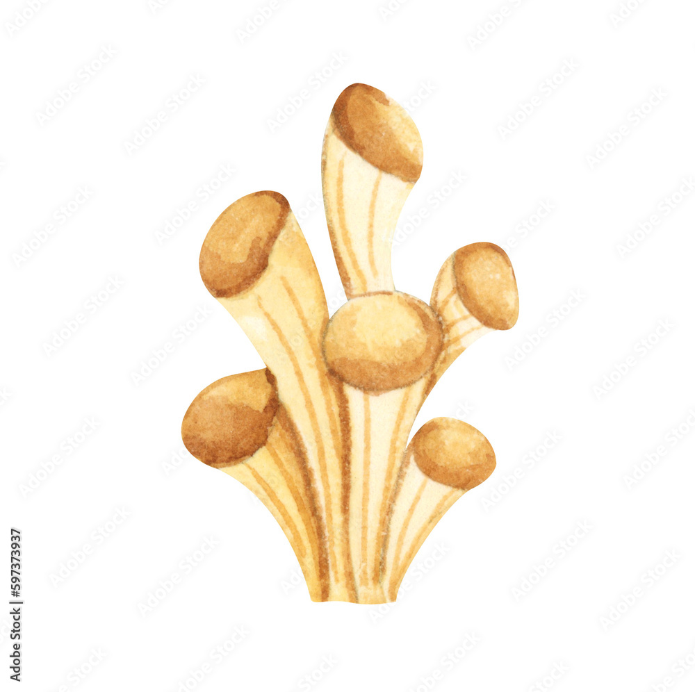 Fototapeta premium Seaweeds. Underwater ocean plants, sea coral elements. Watercolor illustration.