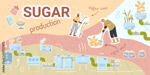 Sugar Production Flat Collage