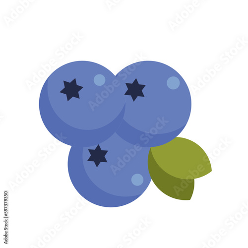 fruit_Blueberry