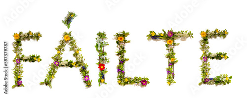 Colorful Flowers Building Word Failte  Isolated Background