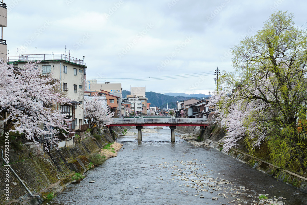 Ikada bridge that cross the Miyagawa River in april during sakura blossom, in Takayama, Hida, Gifu, Japan. April, 2023.