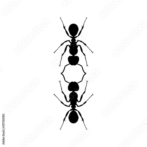Pair of the Ant Silhouette for Art Illustration, Logo, Pictogram, Website, or Graphic Design Element. Vector Illustration © Berkah Visual