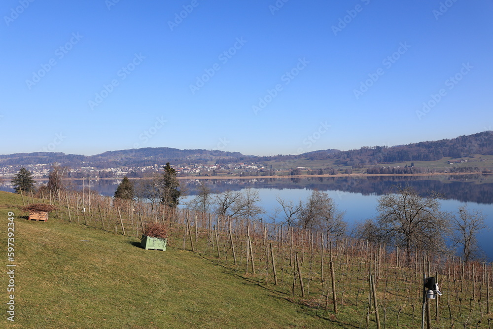 Blick auf den Pfäffikersee im Kanton Zürich in der Schweiz	