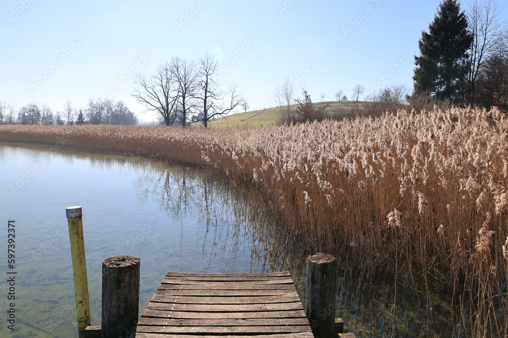 Naklejka premium Blick auf den Pfäffikersee im Kanton Zürich in der Schweiz