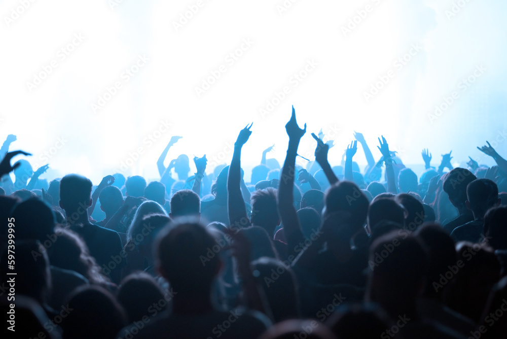 Crowd of people partying at live concert