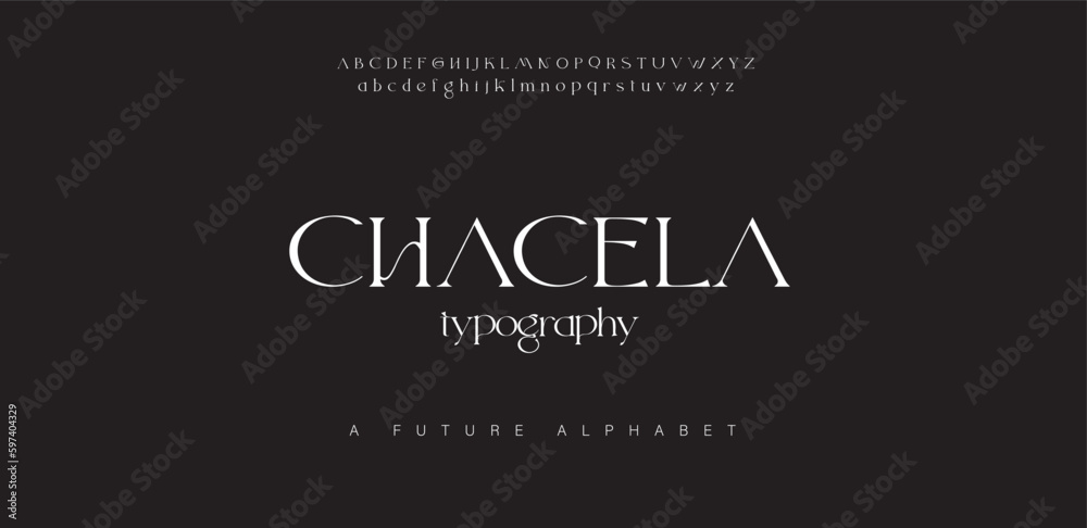 Vector luxury wedding alphabet letters font and number typography elegant classic lettering serif fonts decorative vintage retro with tails concept vector illustration