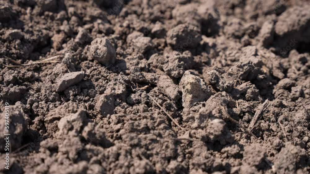 Lumps of fertile land for growing crops Lumps of fertile land for growing crops