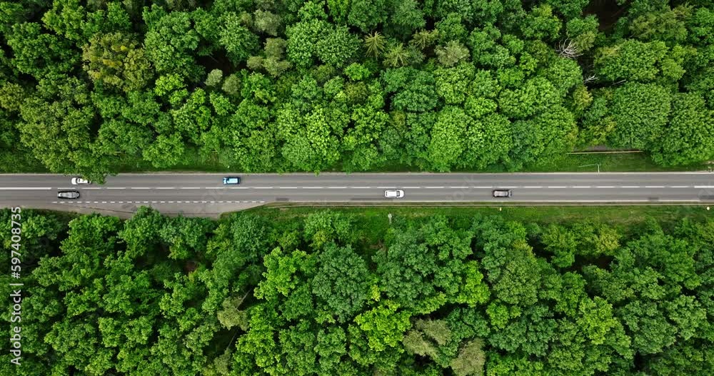 Driving cars on an asphalt road between green trees.