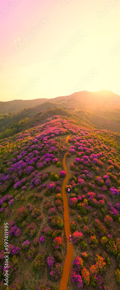 Fototapeta premium 황매산일몰