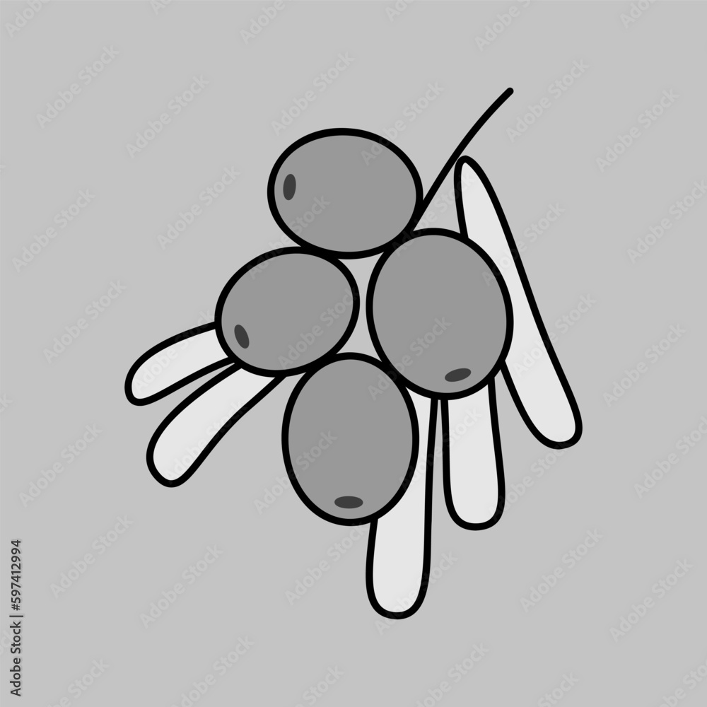 Sea buckthorn berry isolated design vector icon Sea buckthorn berry isolated design vector icon