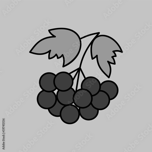 Rowan branch with berries and leaf vector icon