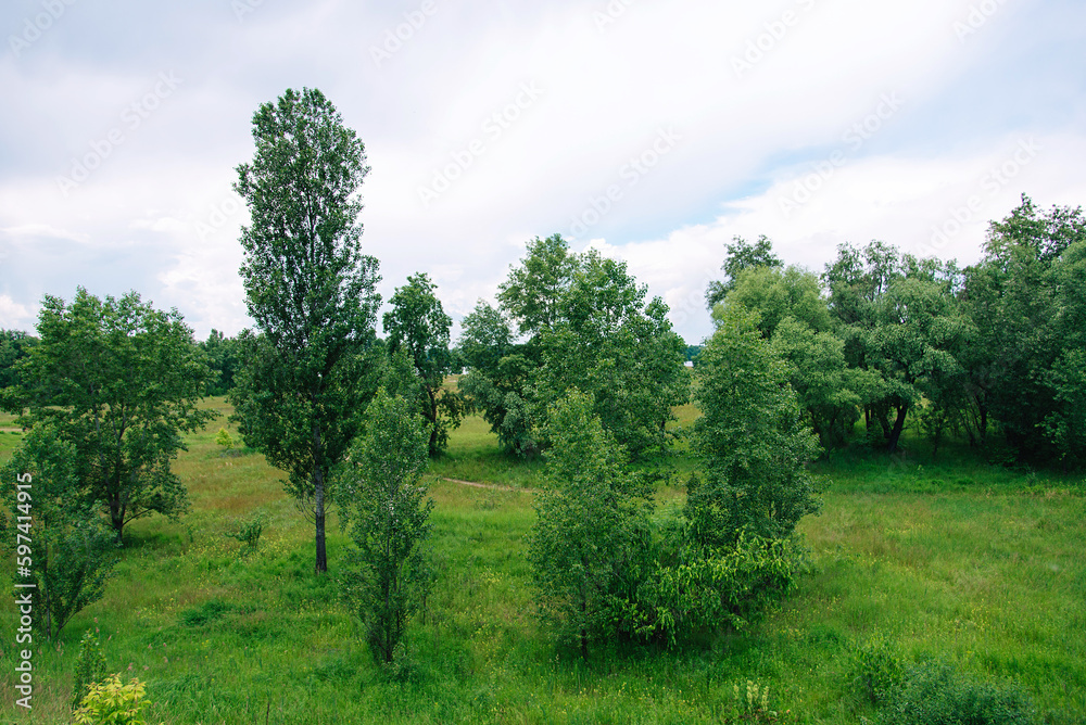 Fresh green field with grass and blue sky a cloudy day. spring and summer landscape. Beauty of nature is around us.
Fresh green field with grass and blue sky a cloudy day. spring and summer landscape. Beauty of nature is around us.