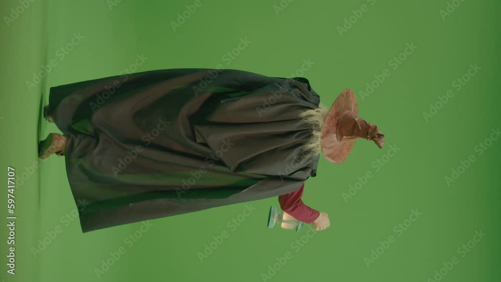Wizard Rear View Vertical View. Green Screen. Back View of a Wizard in a Magic Hat and ...