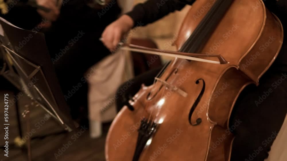 Close-up of an elegantly dressed musician playing the double bass in slow motion with the band Close-up of an elegantly dressed musician playing the double bass in slow motion with the band