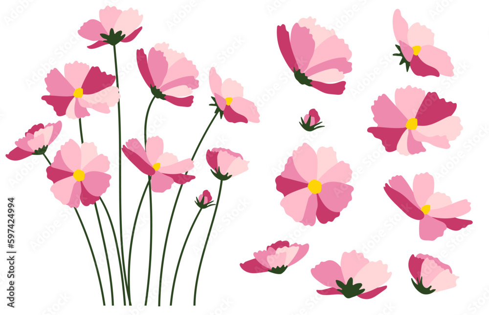 Obraz premium Daisy flower background.Eps 10 vector.